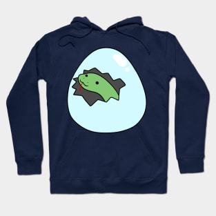 Snake Hatchling Hoodie